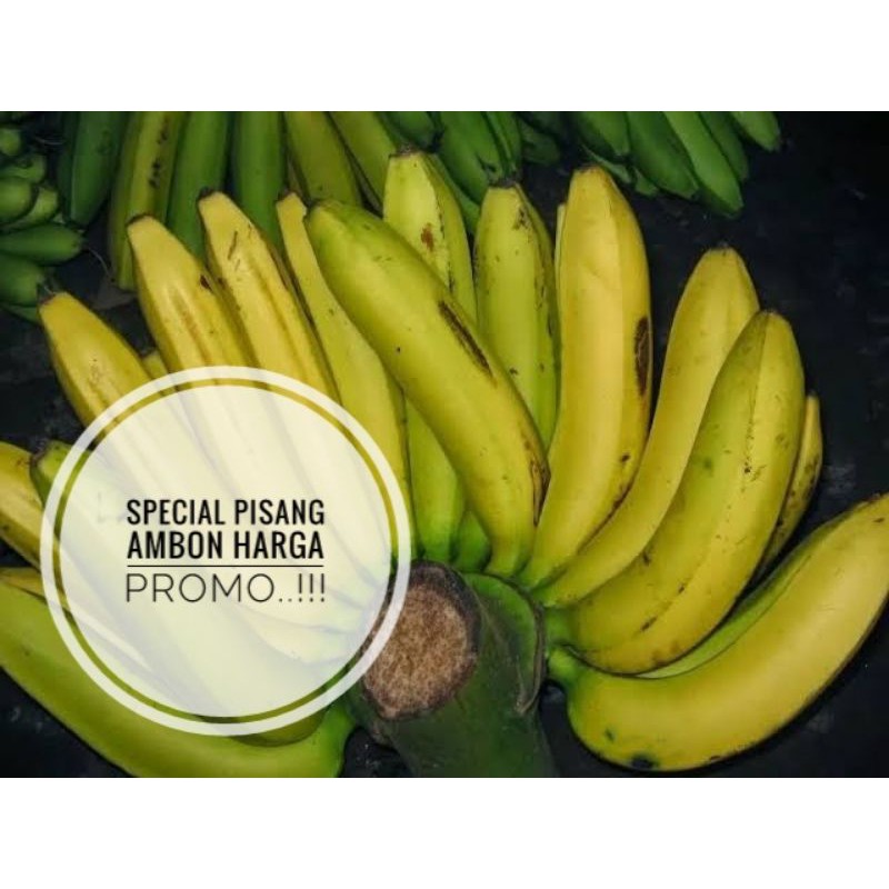 Jual Buah Pisang Ambon 1 Sisir Shopee Indonesia 