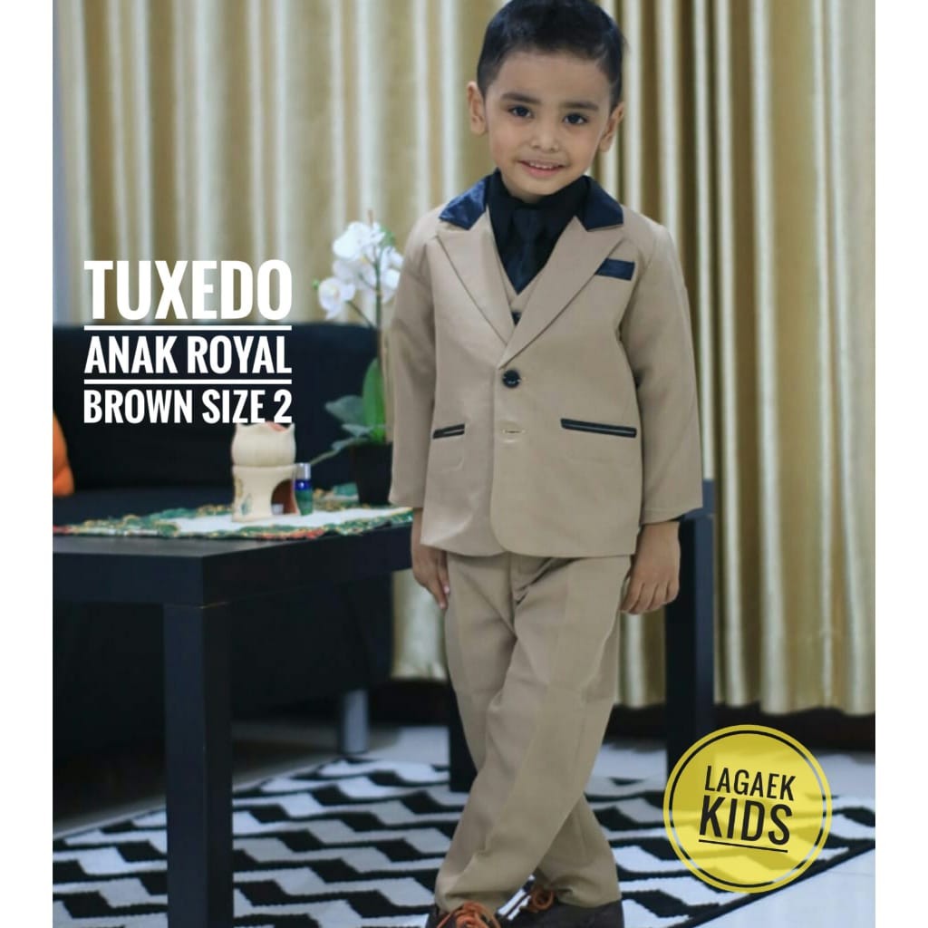 Setelan Jas Anak Laki Premium Usia 1 2 3 5 6 7 8 9 10 COKLAT - Jas Anak Cowok 8in1 Dasi Panjang Tuxedo Coklat Gold