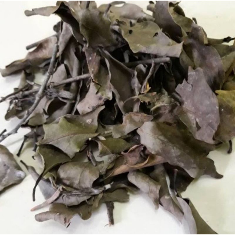 

BENALU ALPUKAT KERING ORGANIK 500.GRM