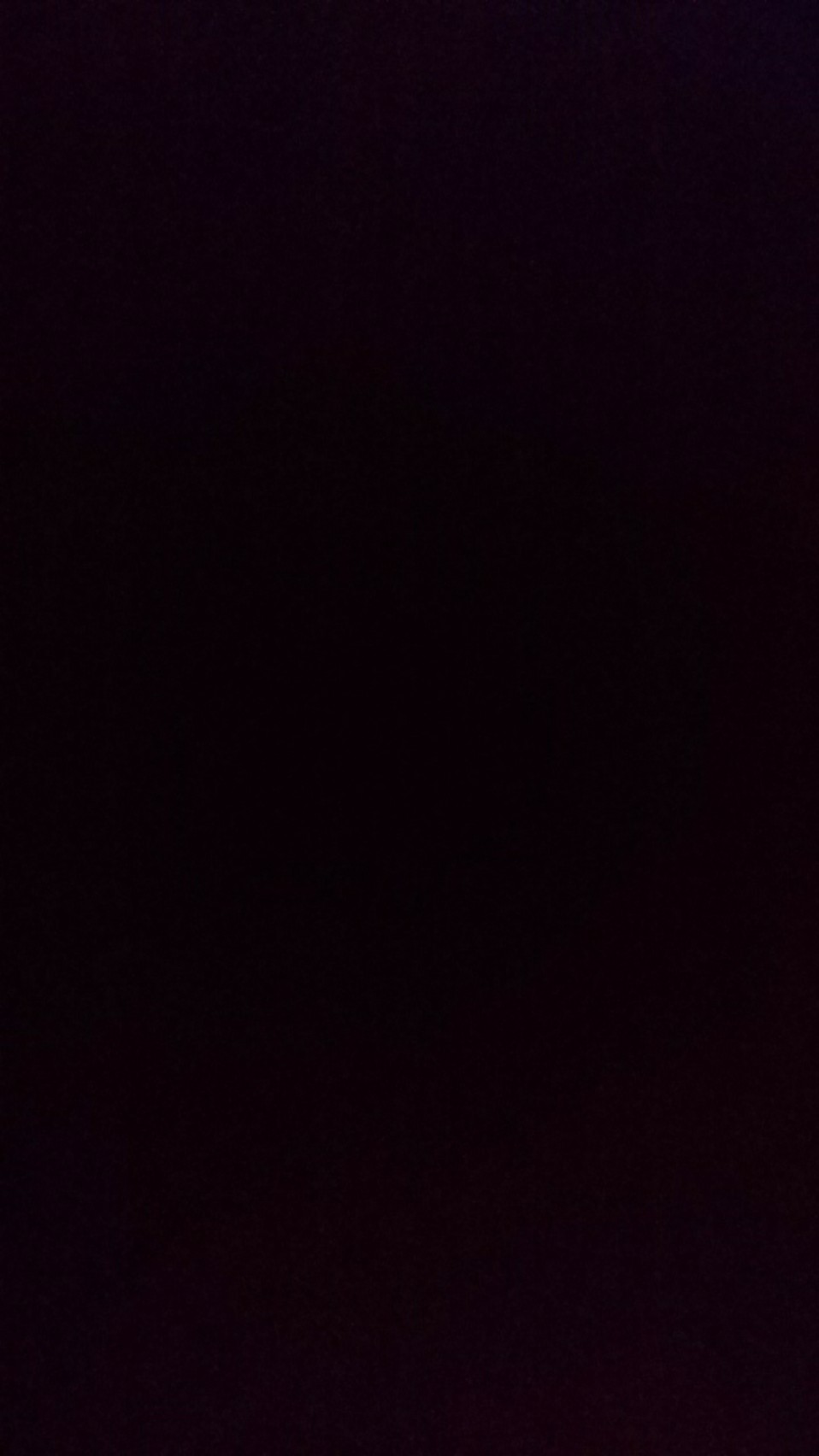 Shabu Shabu Hot Pot Panci Stainless Steel Hot Pot 2 Sekat 28cm