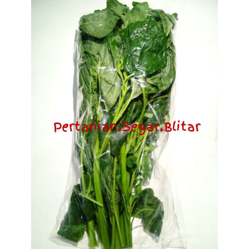 

[Pertanian Blitar] Bayam Muda Hijau Fresh Seal Packing Vakum Sayur Sayuran Higienis
