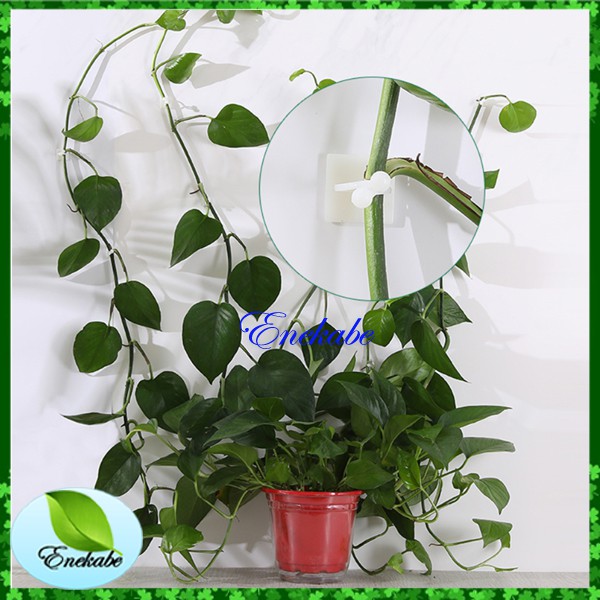 Tali Pengikat Tanaman Bahan Plastik