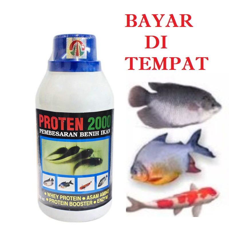 OBAT VITAMIN GEMUK IKAN PENGGEMUKAN IKAN LELE NILA MUJAIR BAWAL GABUS AMPUH PROTEN 2000