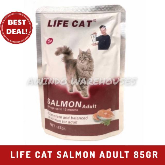 LIFE CAT 85GR SACHET POUCH - Makanan Kucing Basah Kucing Lifecat Adult Kitten
