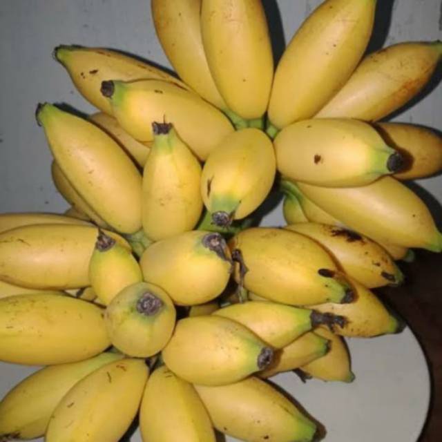 

Pisang mas per sisir