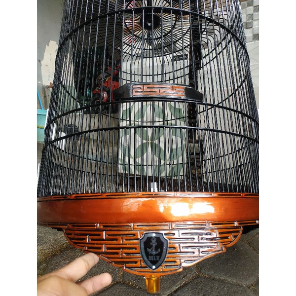 sangkar murai batu kandang murai batu variasi sangkar