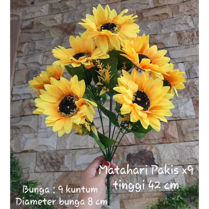 Bunga Matahari Pakis x9 / Sunflower MATAHARI VERA X9