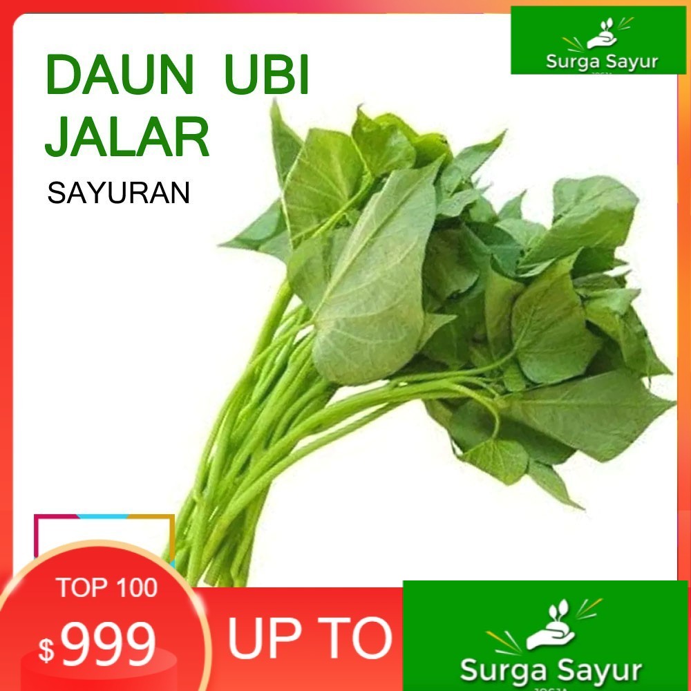 

SURGA SAYUR DAUN UBI JALAR -SAYUR [1 Ikat] SEJABODETABEK BISA KIRIM INSTANT DGN GOSEND/ GRAB