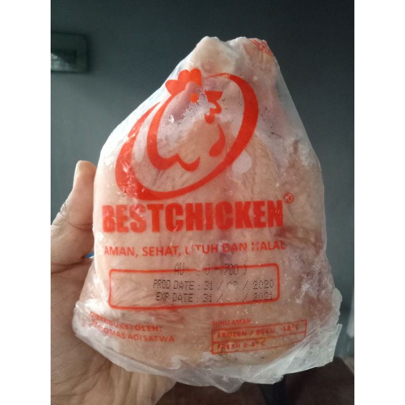 

Best ayam utuh frozen 06-07