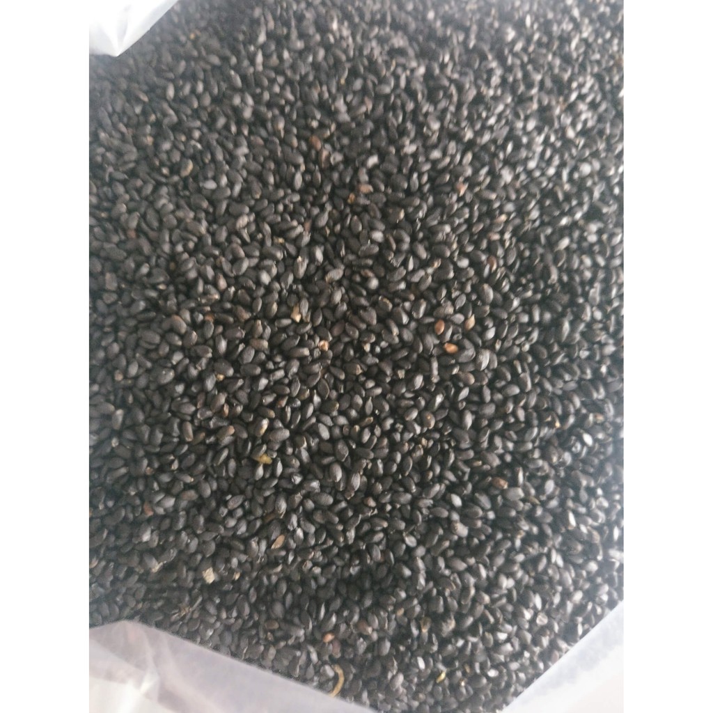 Biji Selasih / Basil Seed 500 GR Import Kualitas Premium