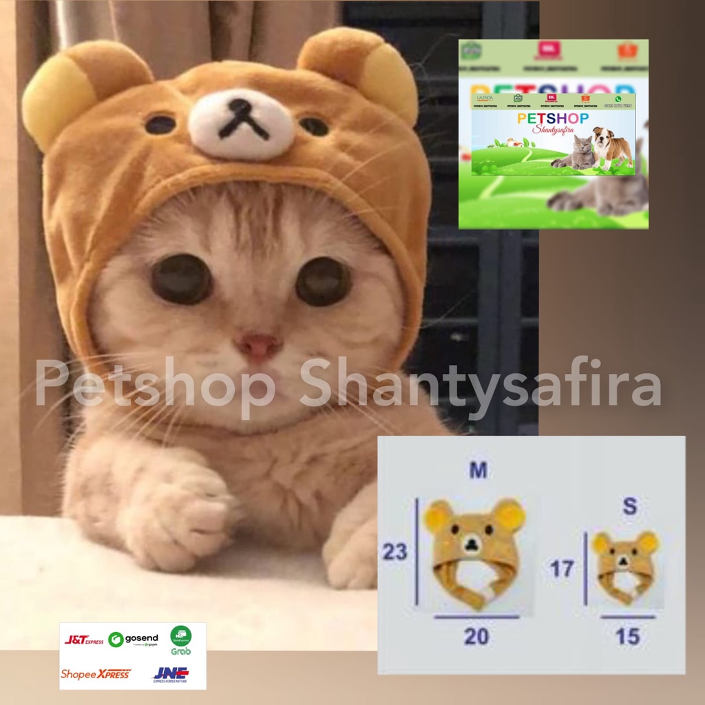 TOPI KUCING BENTUK KARAKTER BINATANG