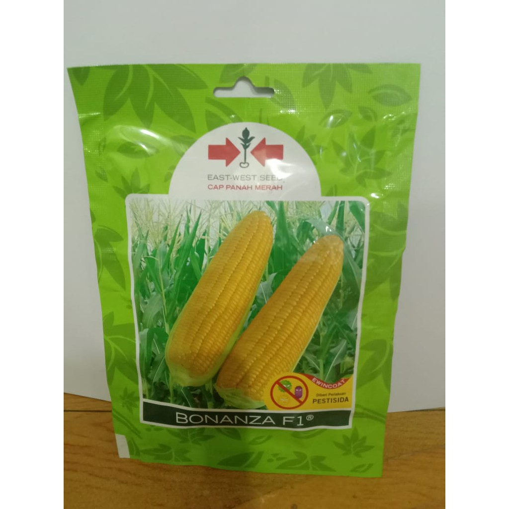 Benih Jagung Manis Bonanza F1 isi 200 butir