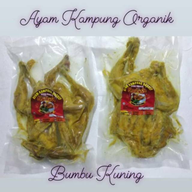 

Ayam Kampung Herbal Probiotik (organik+) Bumbu Kuning