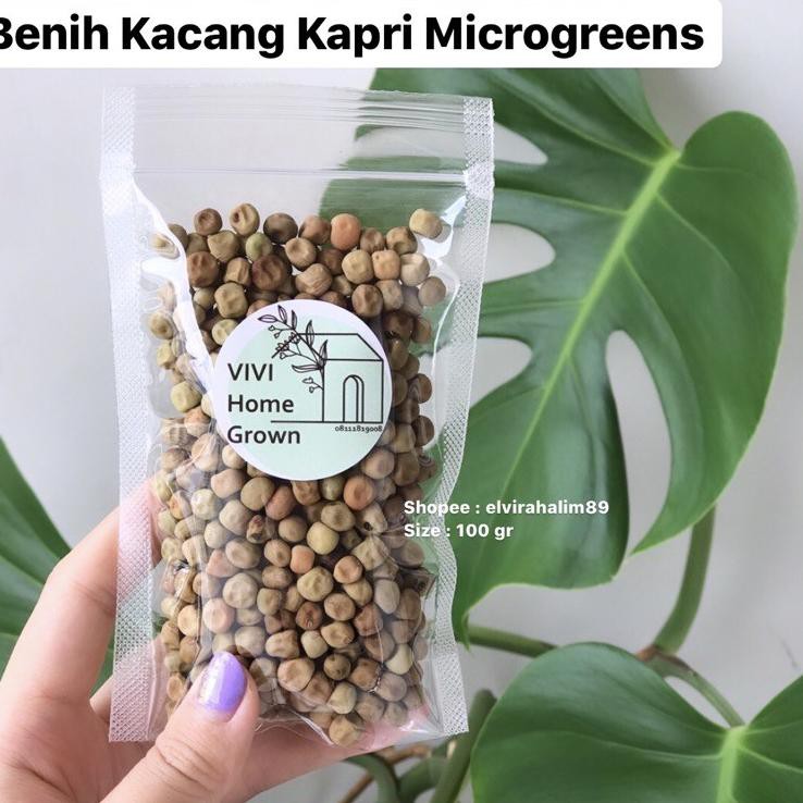 

UTS♝ Benih Biji Kacang Kapri 100gr Snow Peas Tomiau PeaShoots Pea Shoots Taomiao Microgreen Serbuuu