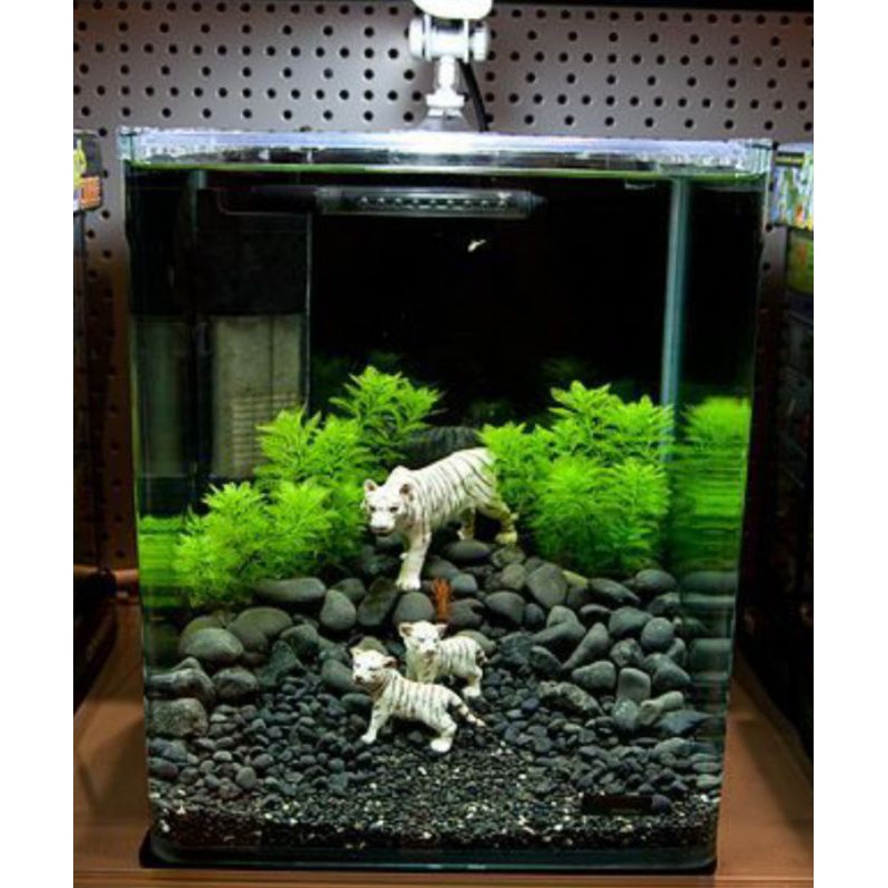 Aquarium Aquascape Untuk Ikan Guppy Atau Ikan Cupang Full Set Termasuk Ikan Dan Hiasannya Shopee Indonesia