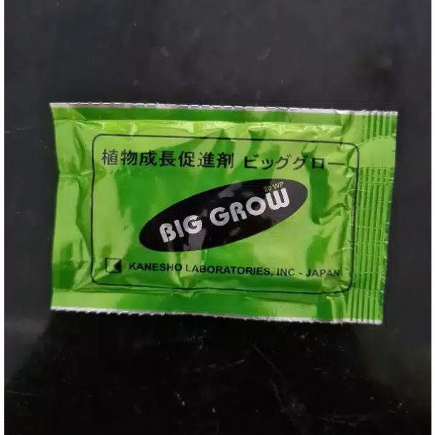 ZPT BIG GROW FORTE 20WP GA3