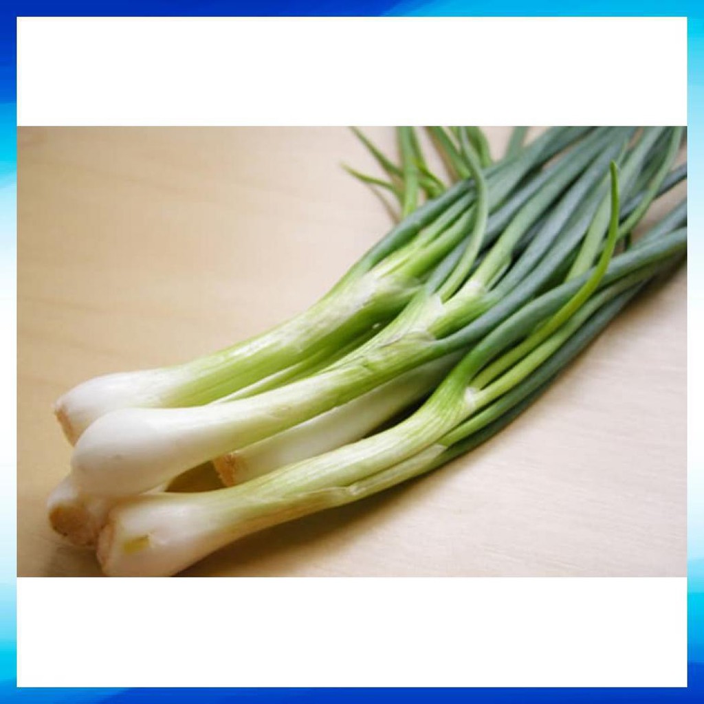 

DAUN BAWANG FRESH / ALLIUM FISTULOSUM (500GR
