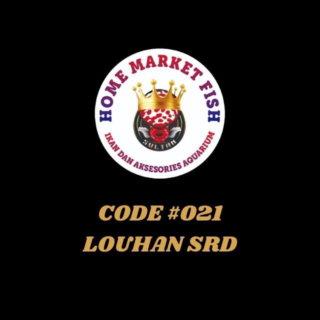 LOUHAN SRD #021  8-10 cm REAL VIDEO ikan louhan Super Red Dragon nyata 1 ikan/1 iklan sesuai VIDEO
