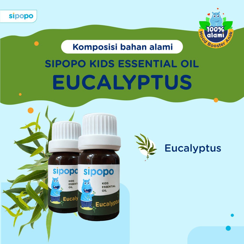 [ASLI] SIPOPO Essential Oil Eucalyptus Kualitas PREMIUM + VCO GRATIS