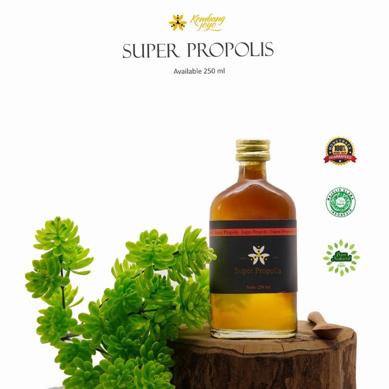 

Madu SUPER PROPOLIS
