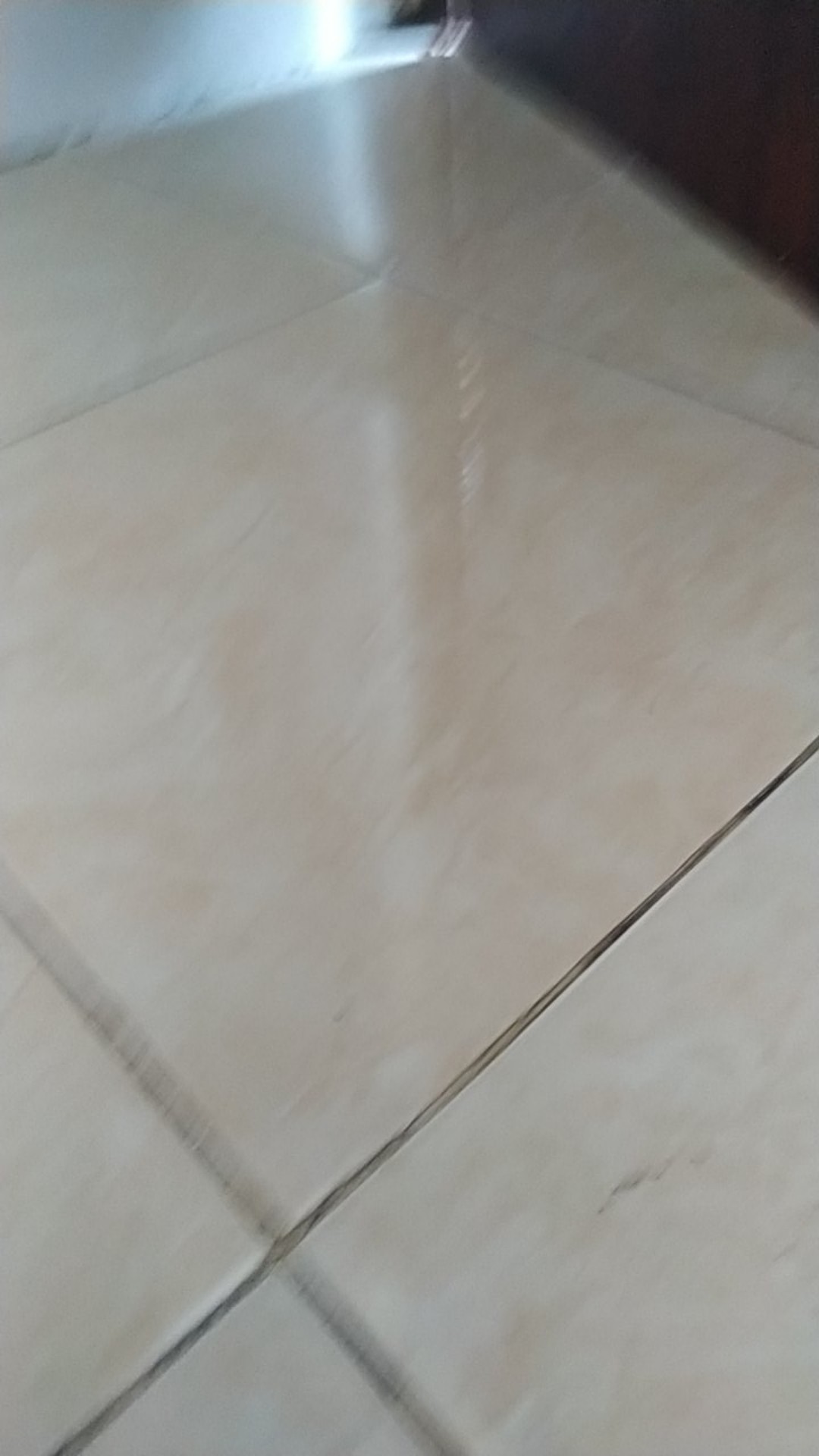Tempat Telur 15 Lubang Dan Sekat (box Telur)