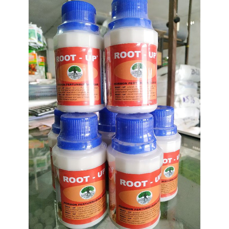 HORMON PENUMBUH AKAR / PERANGSANG AKAR ROOT UP