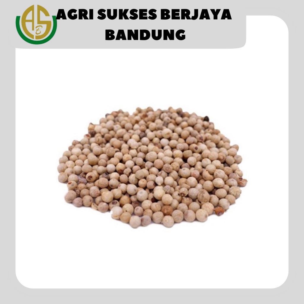 

LADA PUTIH SUPER FRESH / WHITE PEPPER 250 gram
