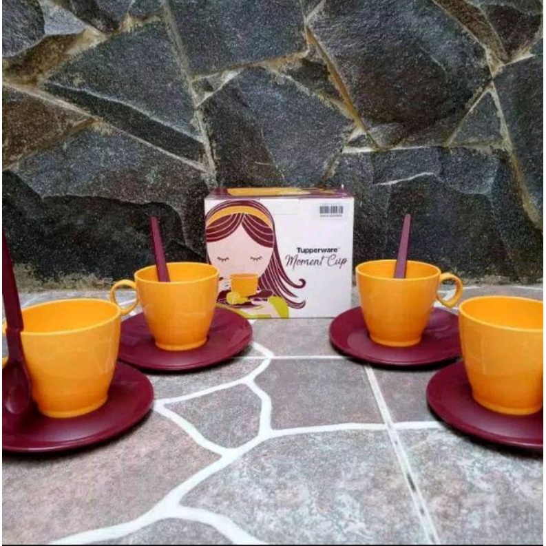 Cangkir tupperware 1 set moment cup