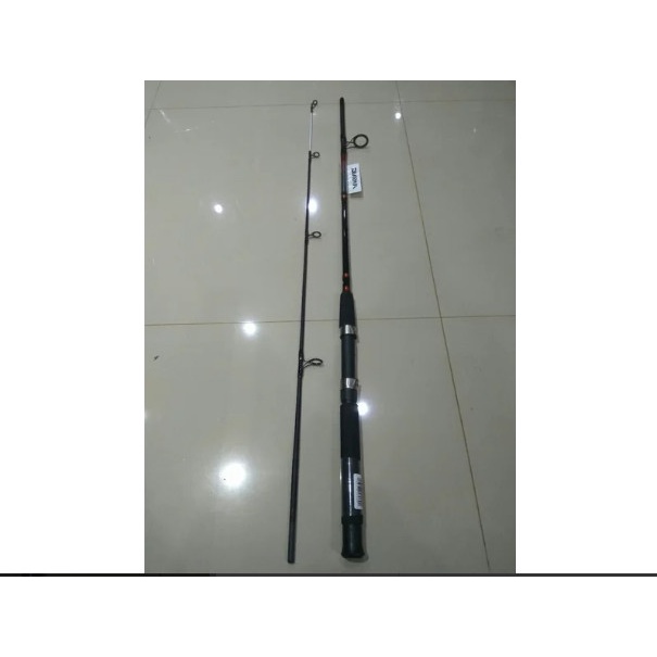 Joran Daiwa Jupiter Power Tip 180 cm