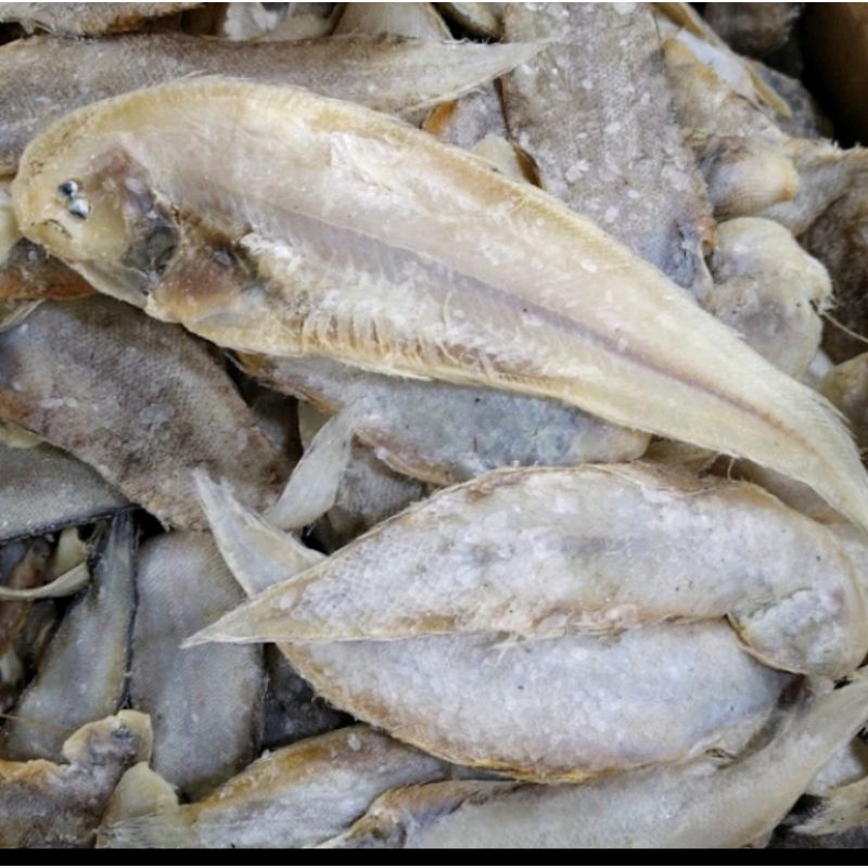 

ikanasinlidah