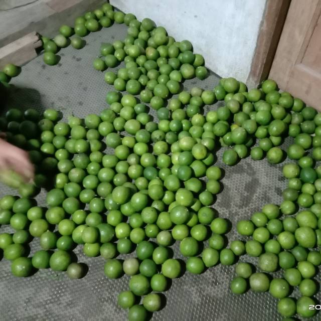 

Jeruk Nipis