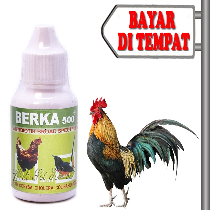 Obat Ayam Sakit Diare Flu Pilek Virus Bakteri Antibiotik Berka 500