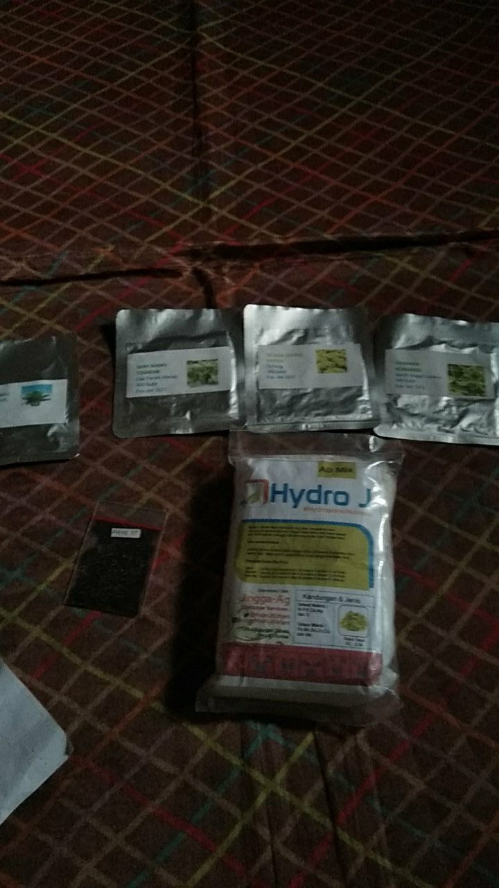 Benih Sawi Pakchoy Nauli Cap Panah Merah Repack