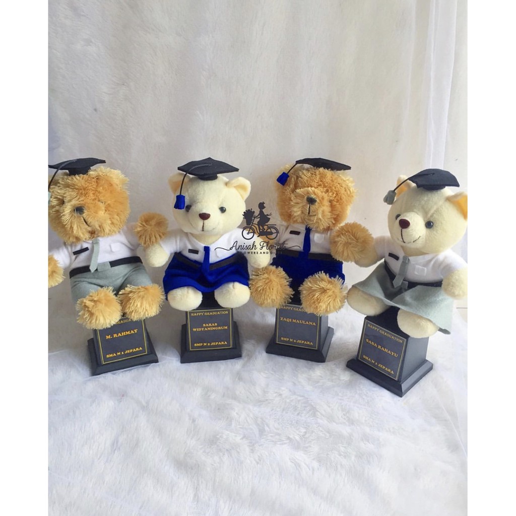Piala Boneka Wisuda | Piala Boneka Profesi | Piala Boneka | Graduation Gift | Kado Wisuda