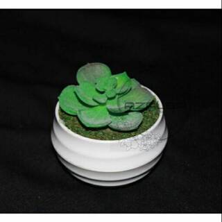 Artificial Succulent Succulent Palsu Succulent Plastik  