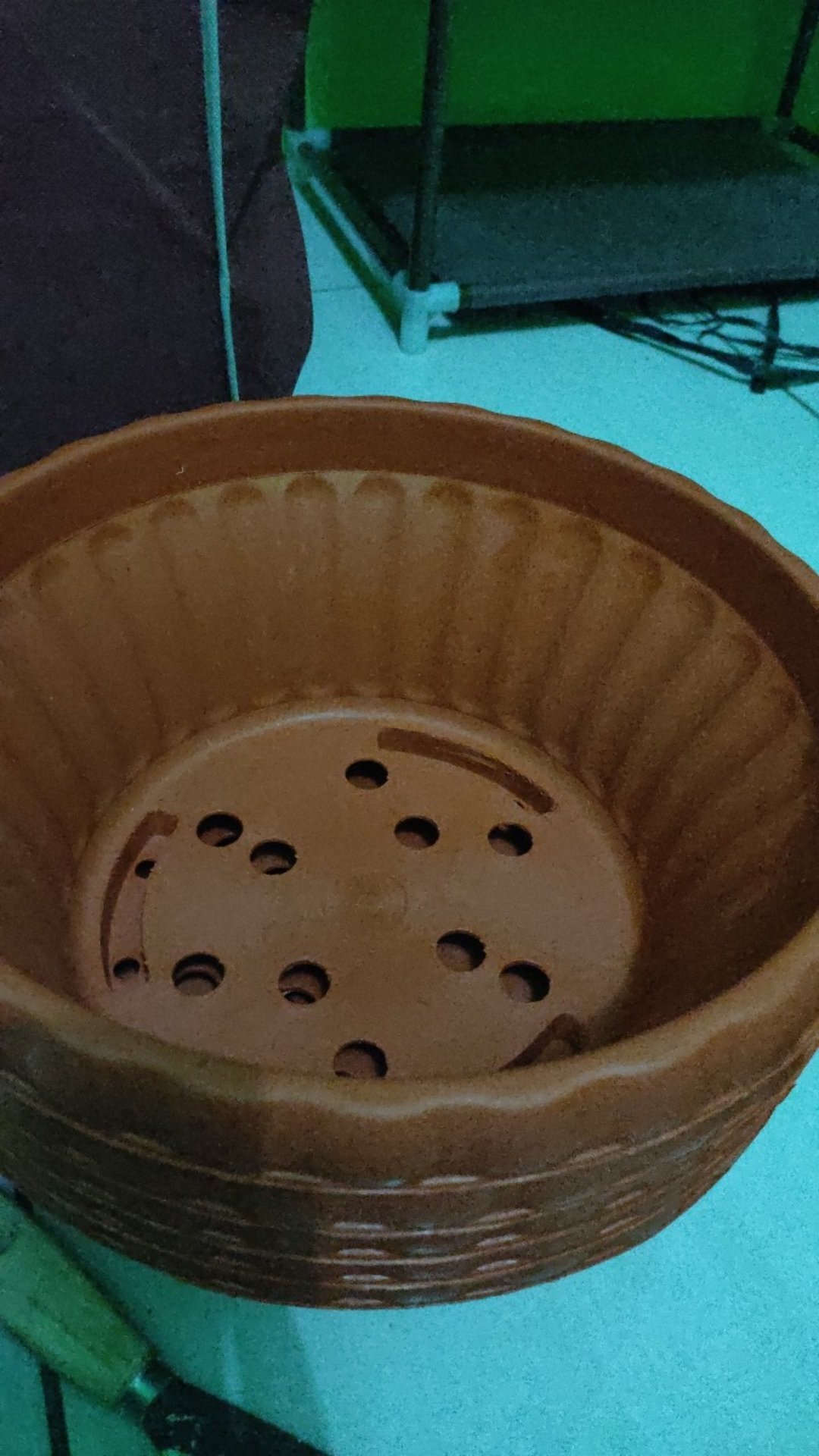 Pot Bunga Tanaman Bonsai Glory 25 Merah