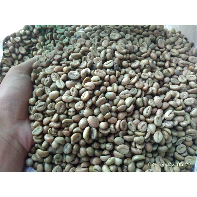 

KOPI ROBUSTA SUMBING GREEN BEAN PETIK MERAH NATURAL REAL PICT