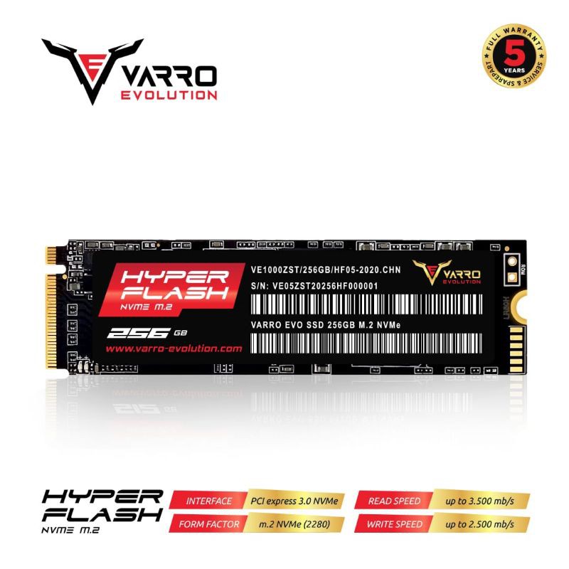 SSD NVME 256GB VARRO