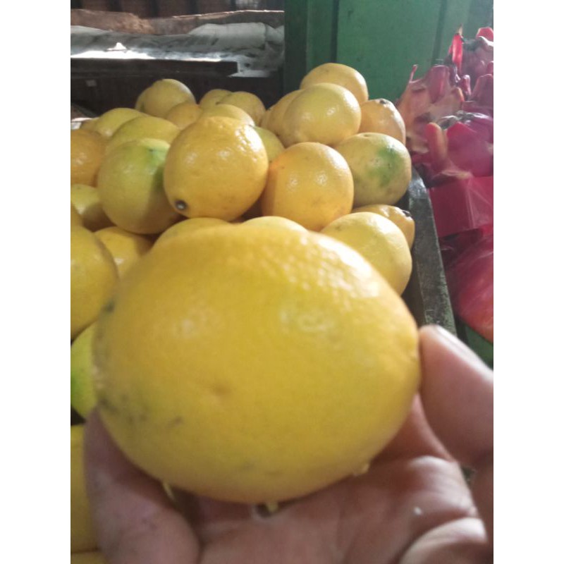 

lemon Kalifornia lokal per 1 kg