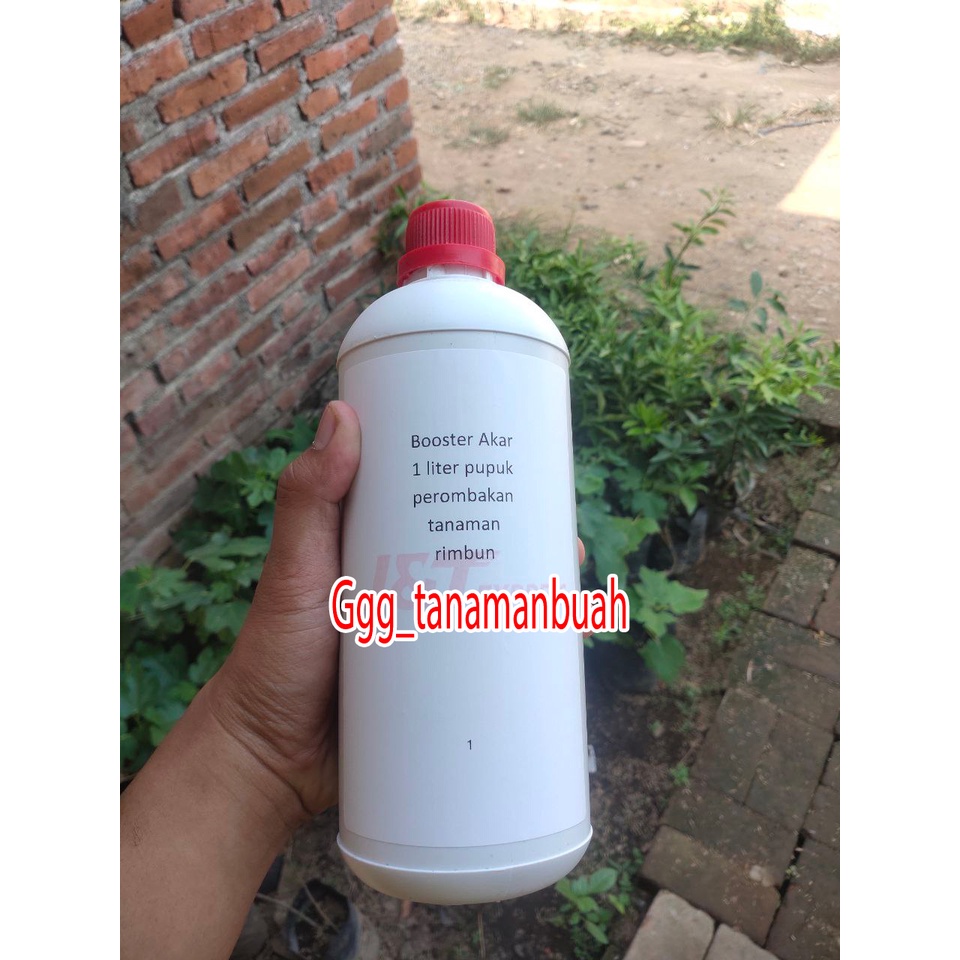 Booster Akar 1 Liter Pupuk perombakan tanaman rimbun