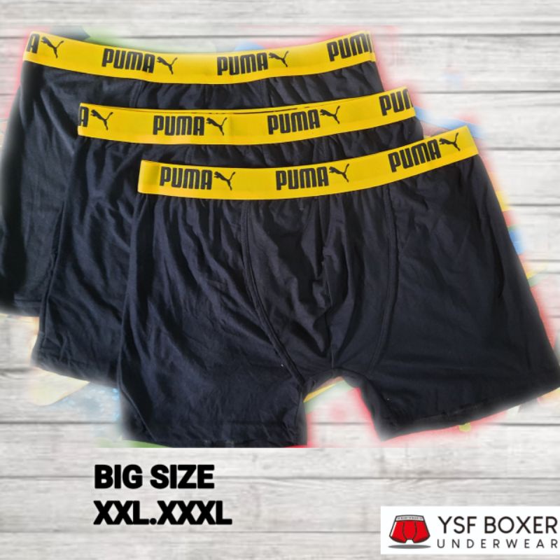 CD BOXER JUMBO ISI 6