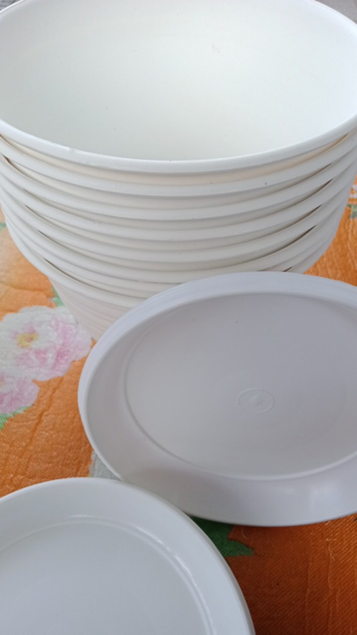 Pot Bunga Tanaman Tawon Putih 18cm +tatakan Bawah