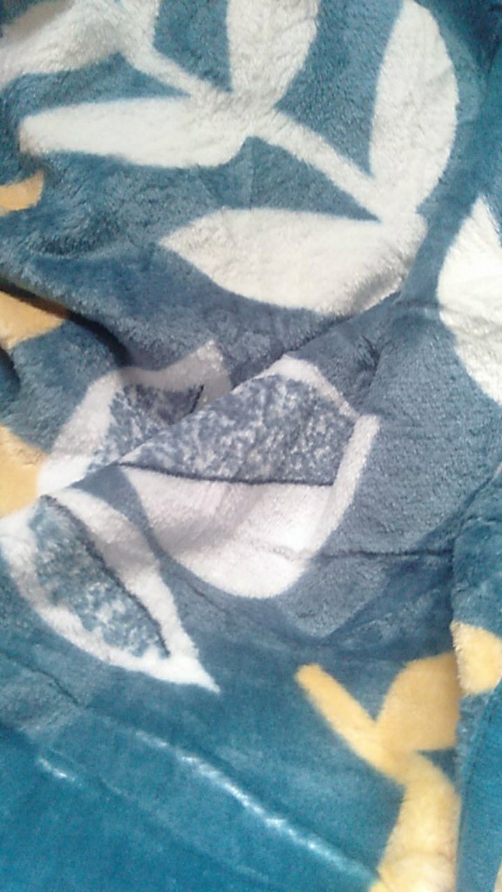 Selimut Kintakun Micro Flannel 160x200 Queen - Spongebob Brenda Graciela Kezia Victor Slmt160dlx