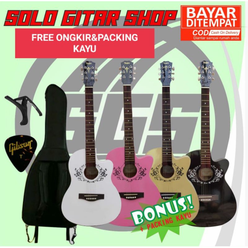 SM- gitar akustik taylor swift pemula tanam besi