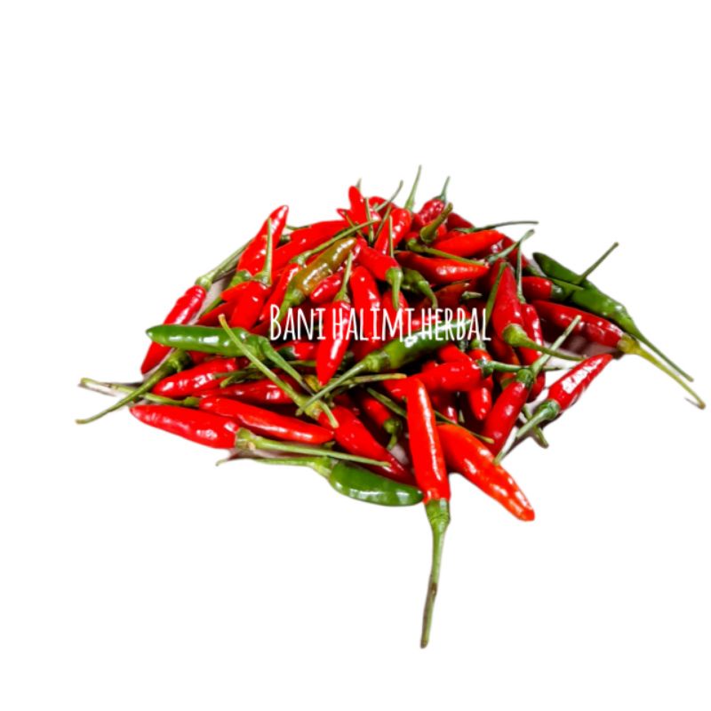 

Cabe Rawit Segar 100 Gram