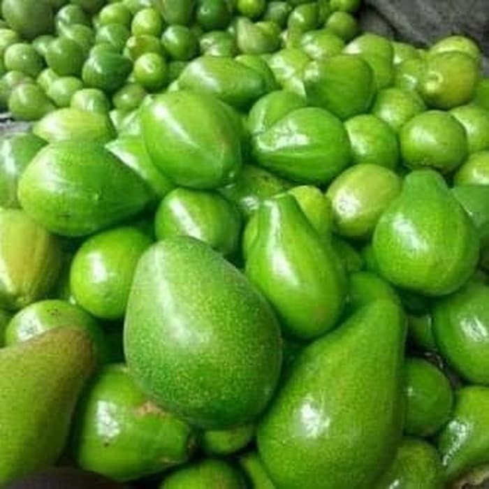

Buah Alpukat Super (900g-1kg)