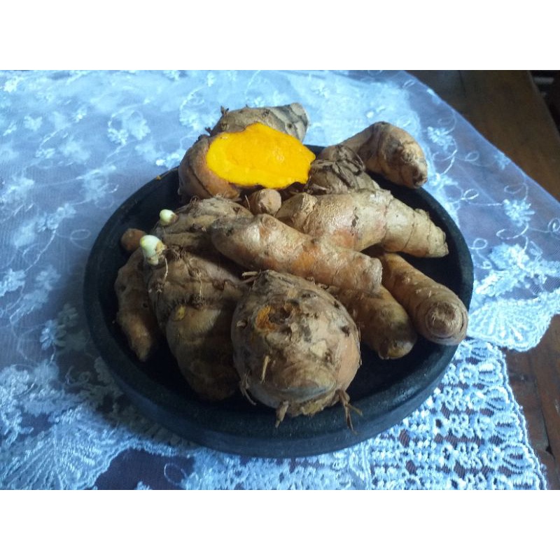 

Temulawak segar