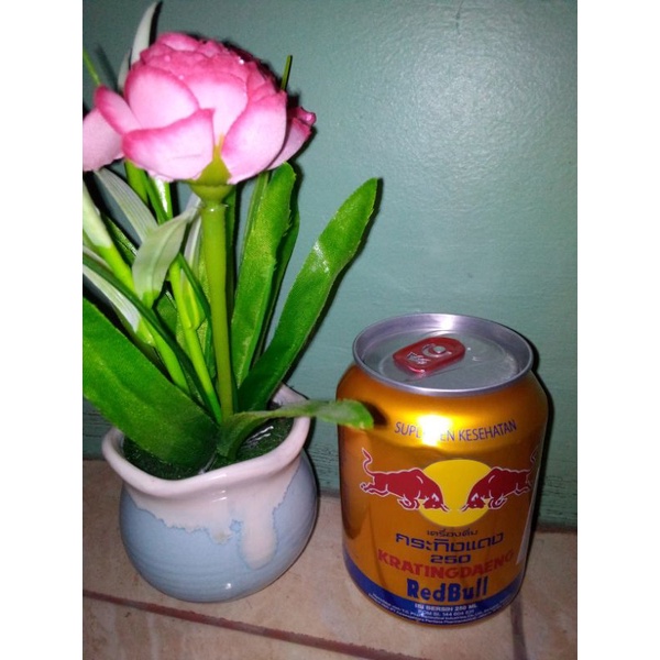 Kratingdaeng redbull minuman kaleng 250ml