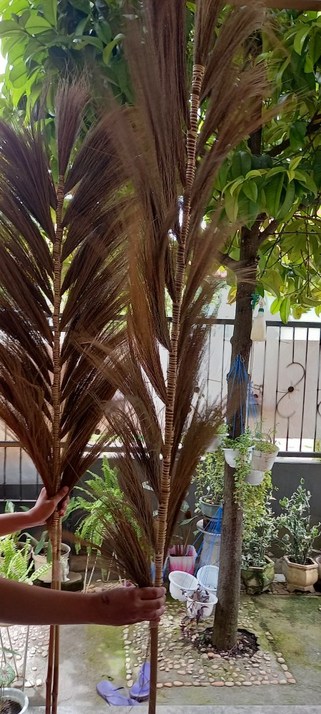 Dekorasi Rumah Rayung Stick Hijau Muda 21 Tangkai