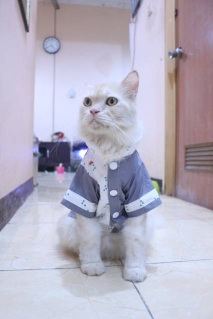 Baju koko siap order lebaran baju koko untuk kucing size S-XL